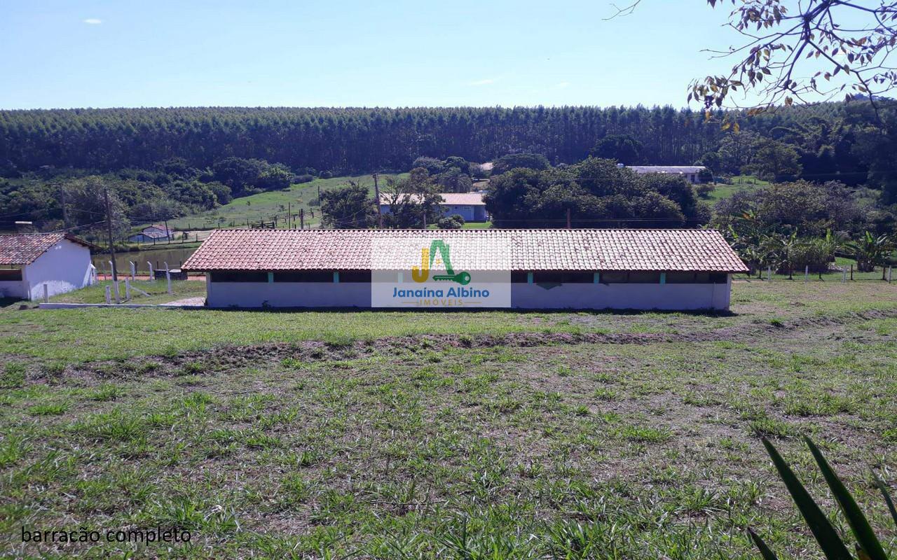 Sítio, 4 quartos, 2 hectares - Foto 4