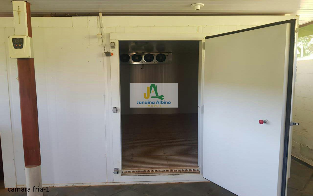 Sítio, 4 quartos, 2 hectares - Foto 11