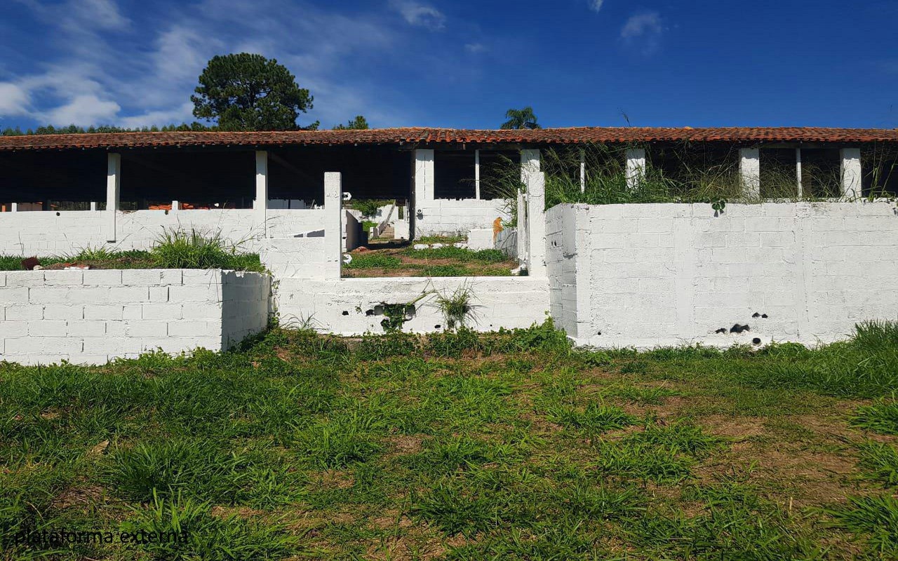 Sítio, 4 quartos, 2 hectares - Foto 48